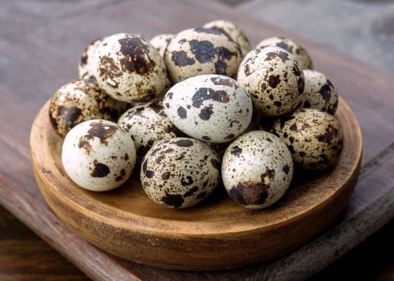 11 Amazing Benefits of Quail Eggs