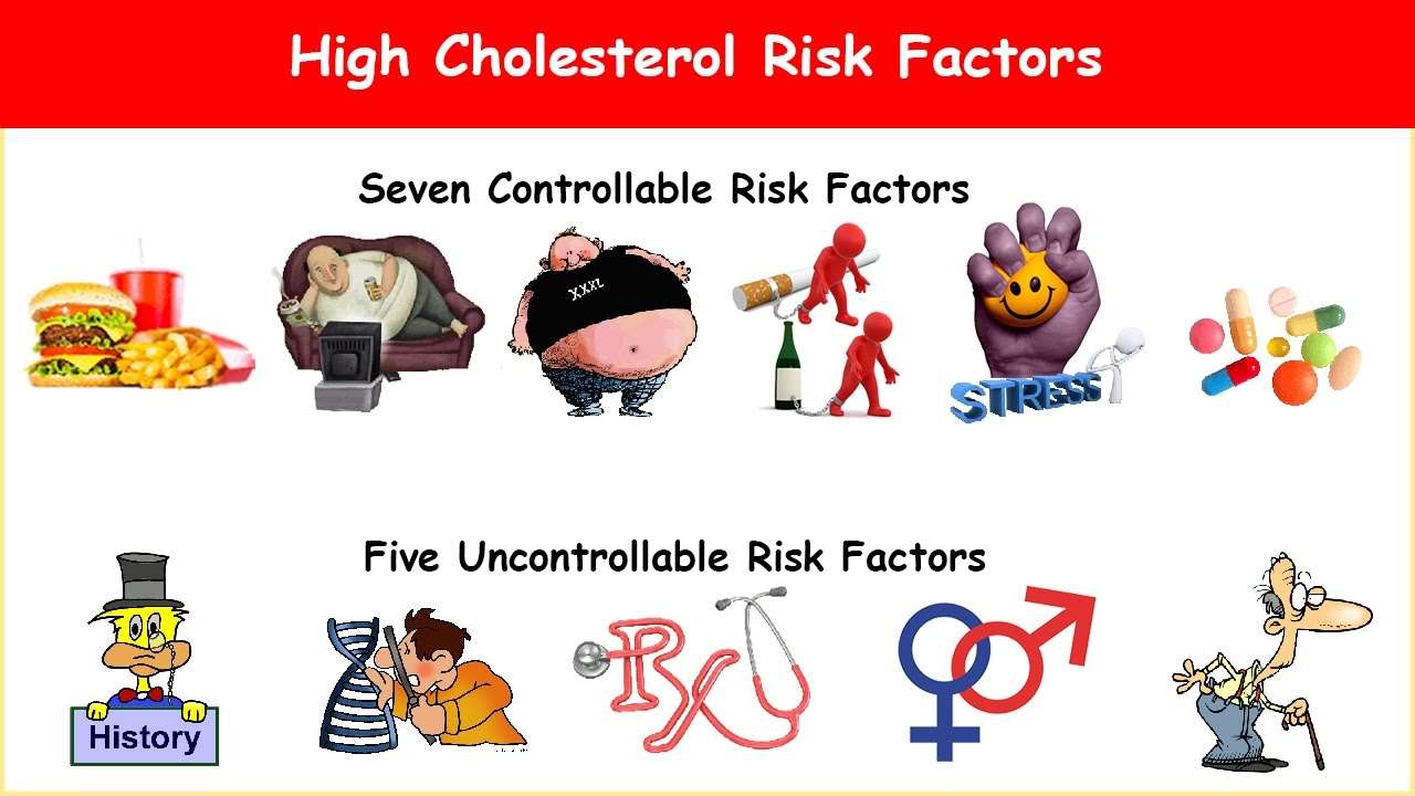 12 High Cholesterol Risk Factors