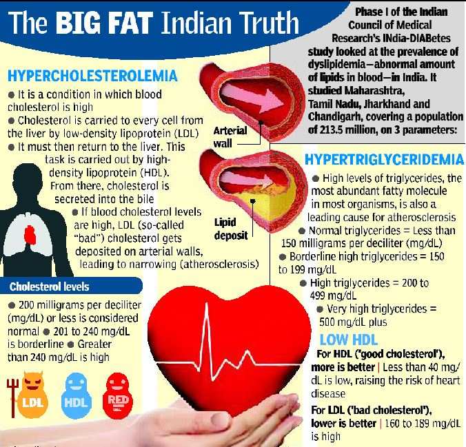 80% Indians have skewed lipid level, 72% low good cholesterol