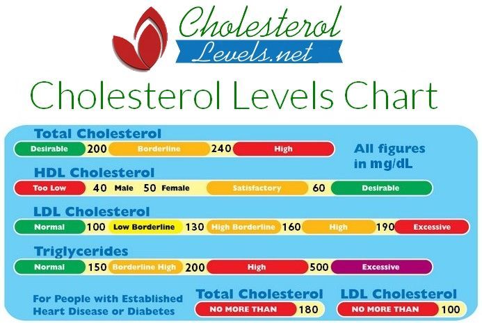 A cholesterol chart of Total, HDL, LDL and Triglycerides