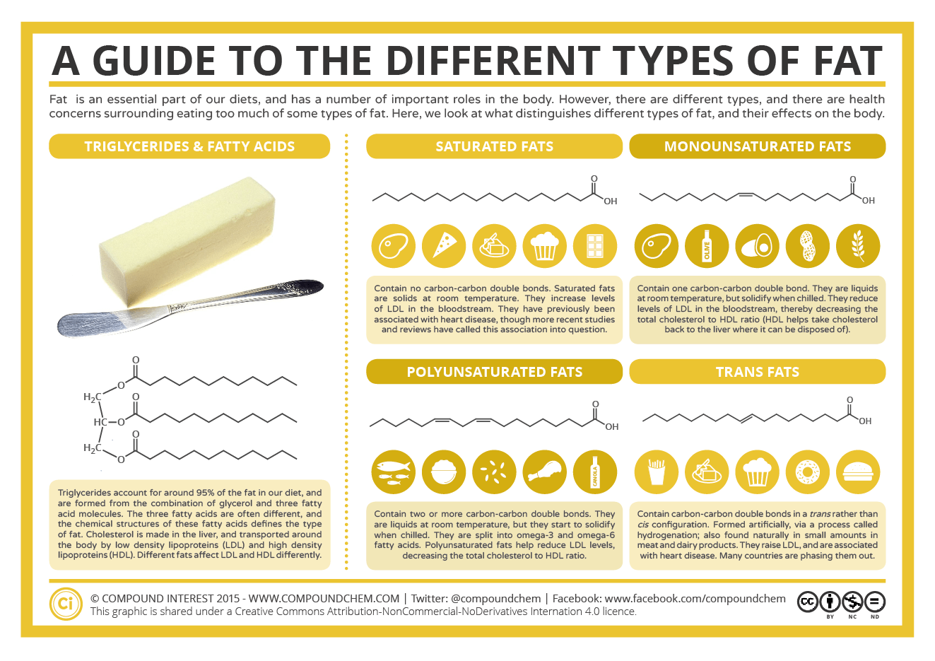 A Guide to the Different Types of Fat
