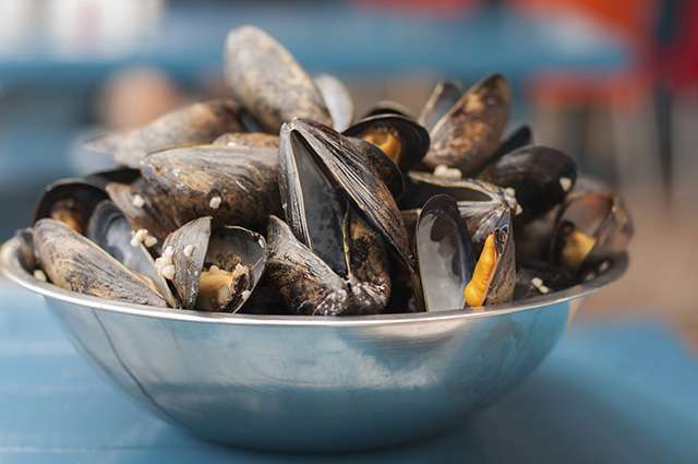 Adding mussels to obesogenic diet prevents weight gain, lowers cholesterol