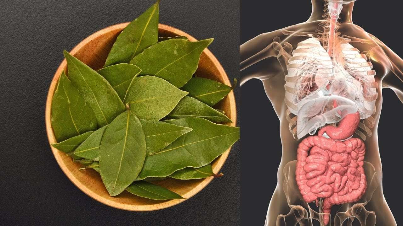 Apple and Bay Leaf Tea To Reduce Cholesterol, Control ...