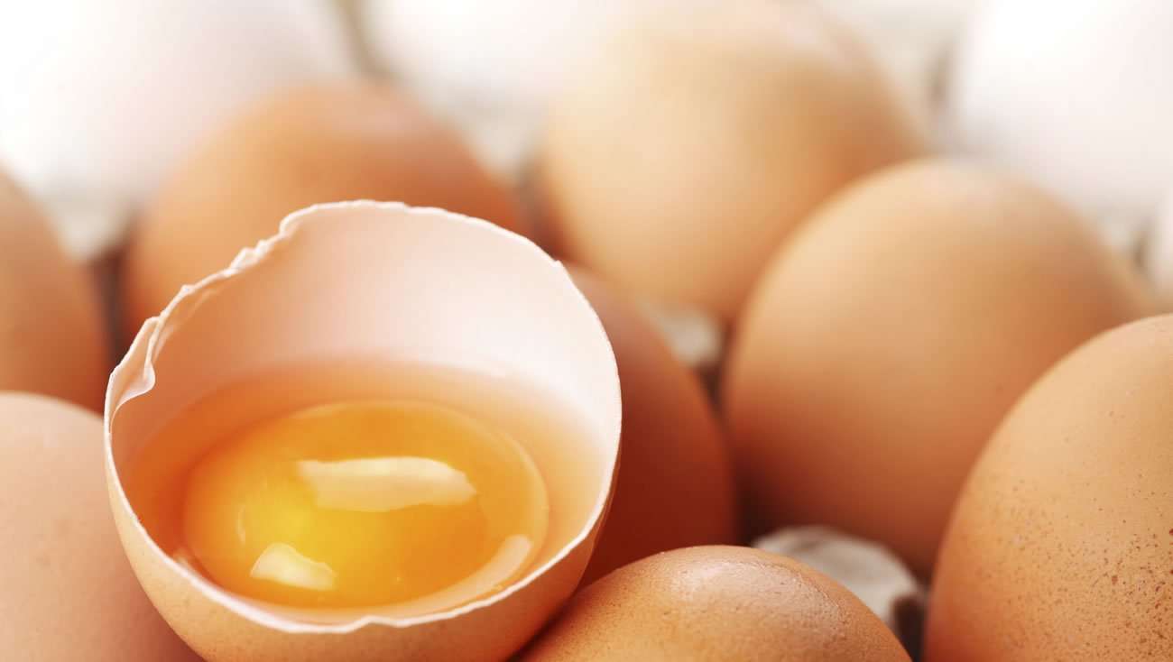 Are Eggs Healthy? Ask the Experts