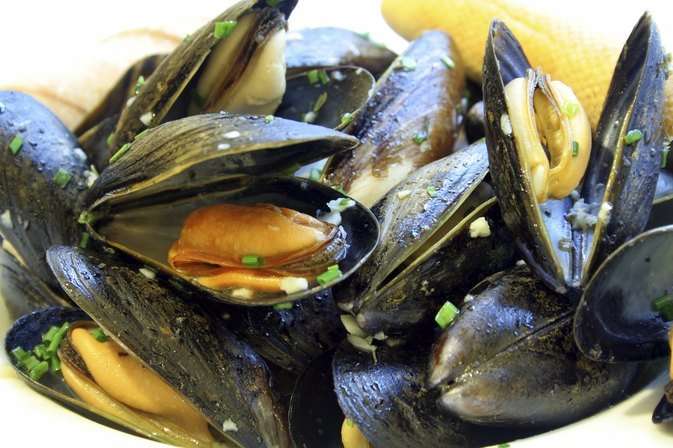 Are Mussels High in Cholesterol?