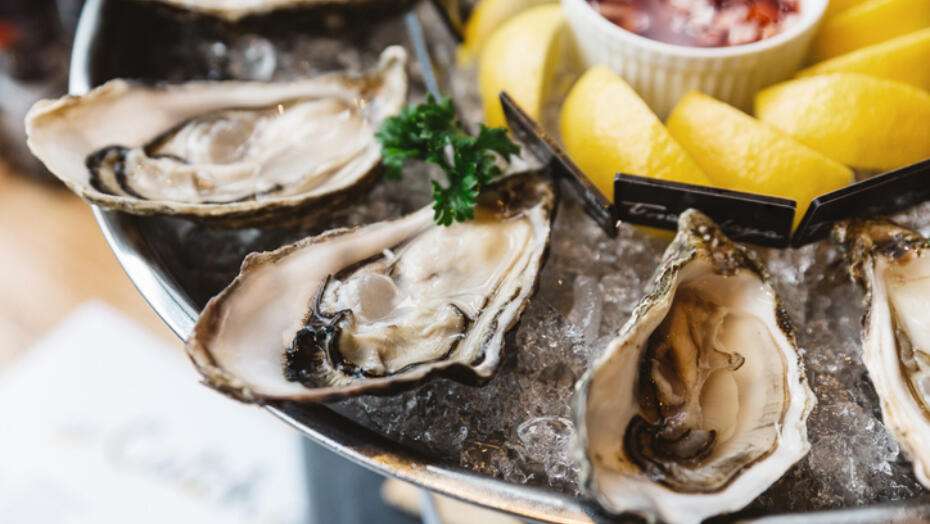 Are Oysters High in Cholesterol?