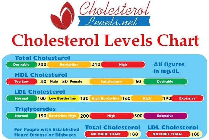 Are you always confused by your cholesterol test results ...