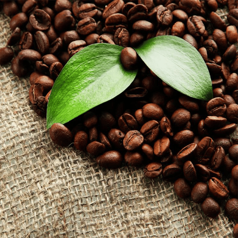 Benefits of Green Coffee Beans for your Skin, Hair and Body