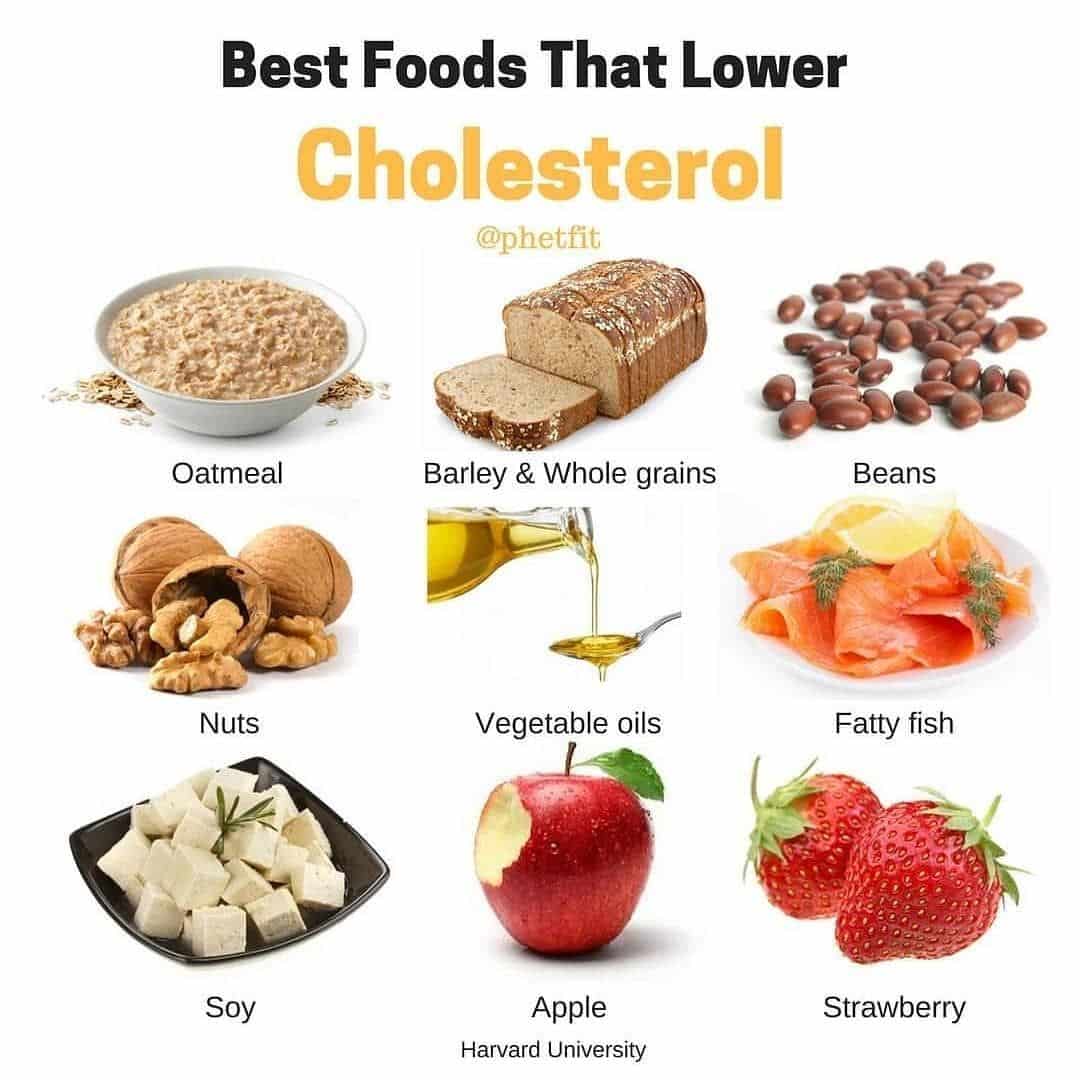 BEST FOODS FOR CHOLESTEROL