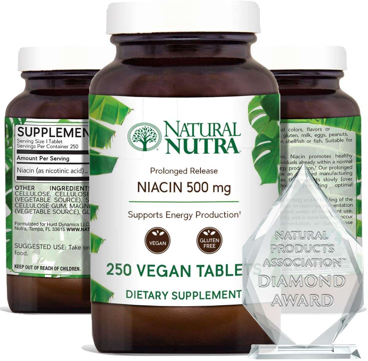 Best Niacin Supplement for Cholesterol Lowering 2020