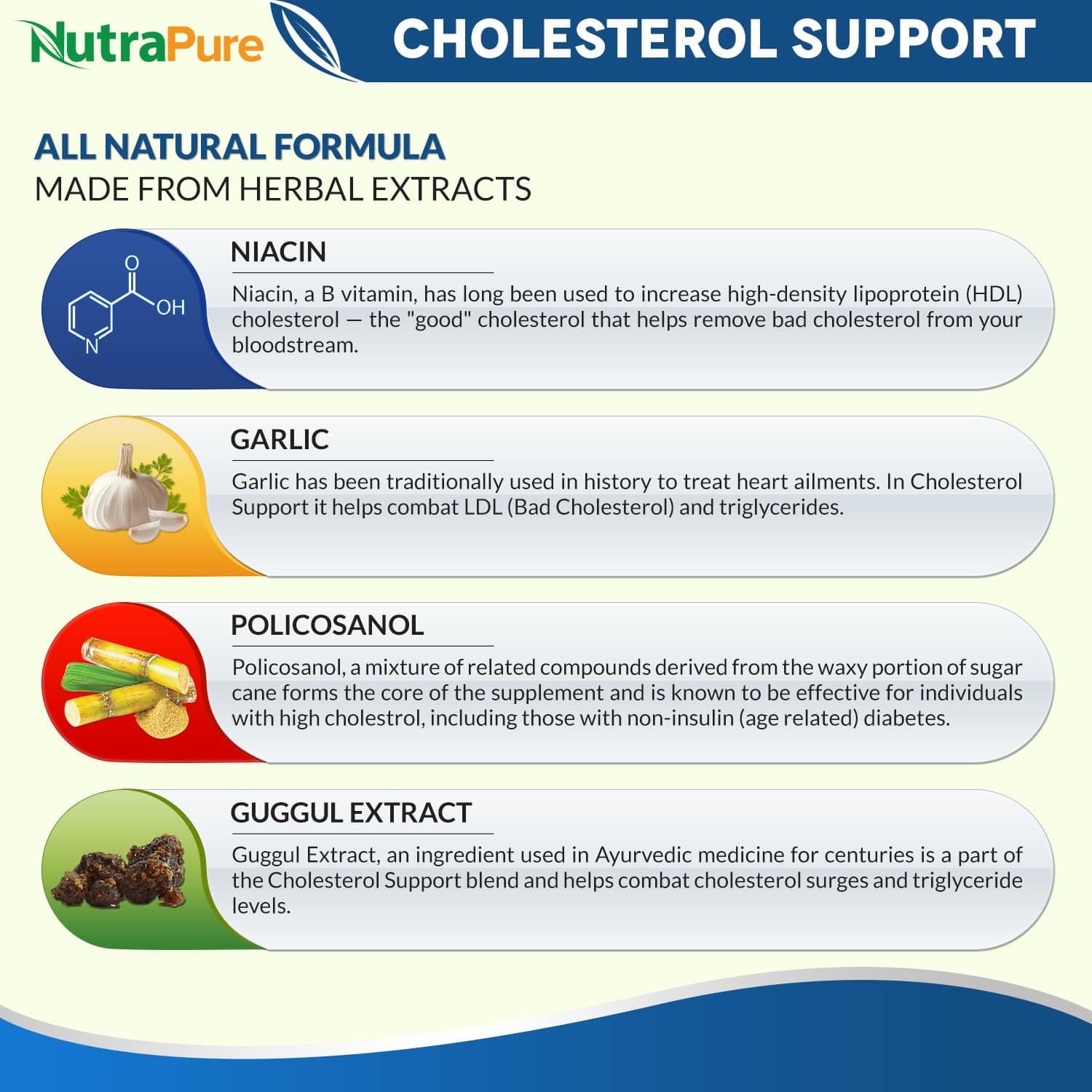 Best Supplements For High Cholesterol And Triglycerides