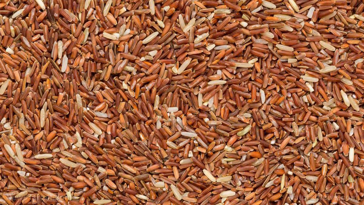 Brown rice is a nutrient