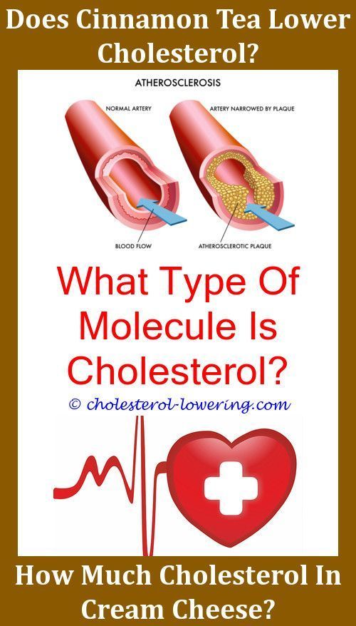 Can Dogs Get High Cholesterol?,goodcholesterol why do you take ...