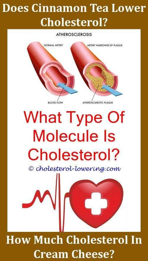 Can Dogs Get High Cholesterol?,goodcholesterol why do you ...