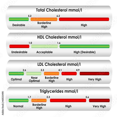 " Cholesterol chart in mmol/l units of measure"  Stock photo and royalty ...