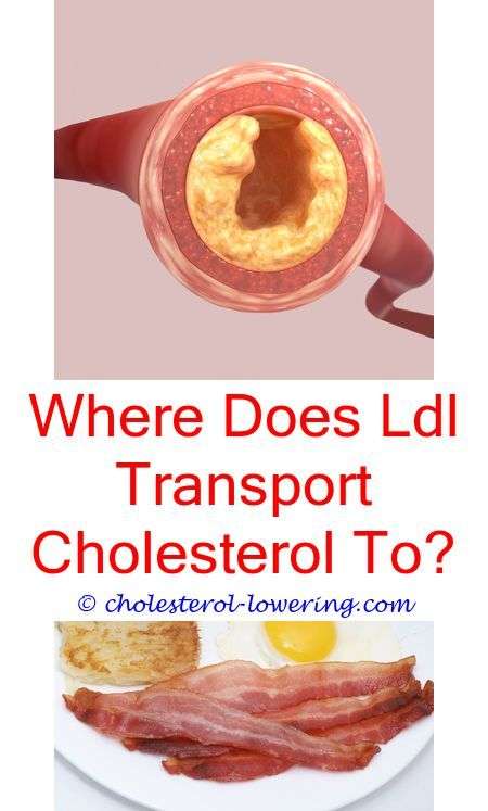 cholesterol is haggis bad for cholesterol?
