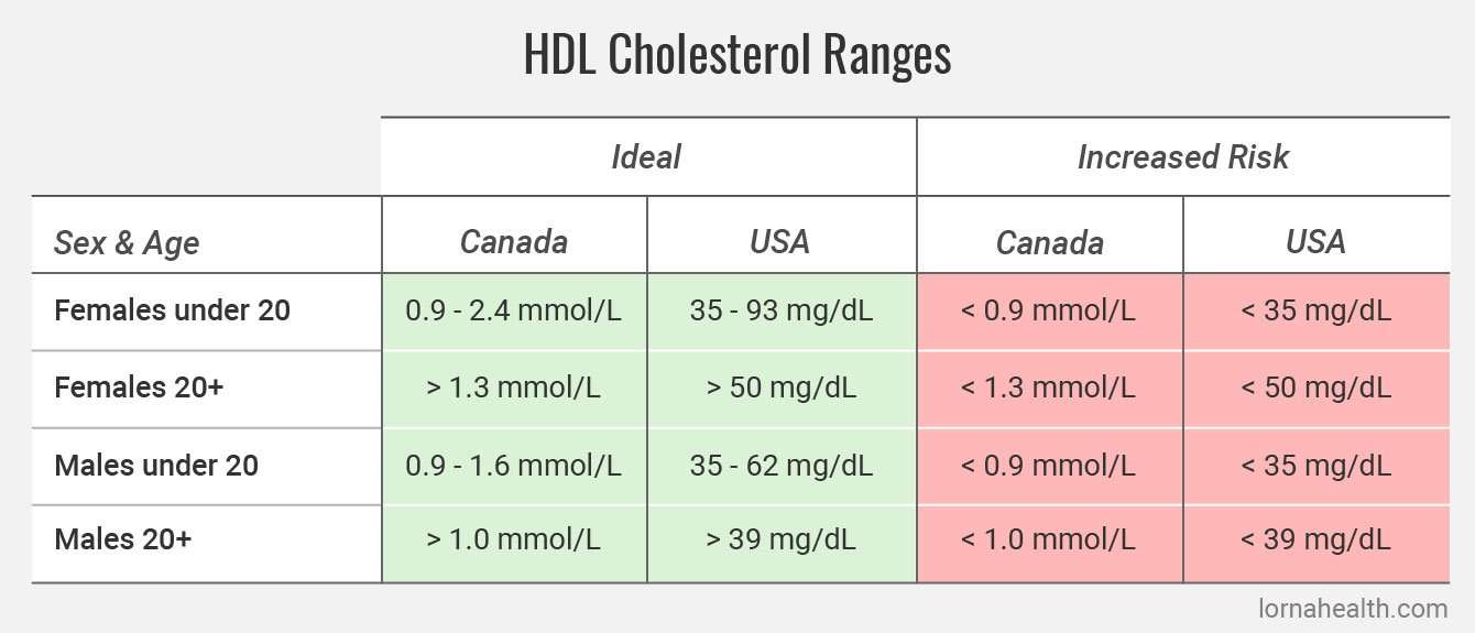 cholesterol levels chart mmol