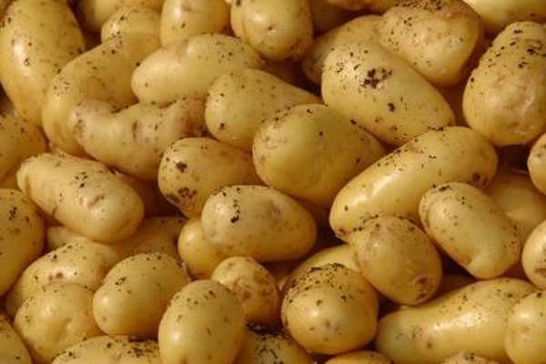 Cholesterol &  Potatoes
