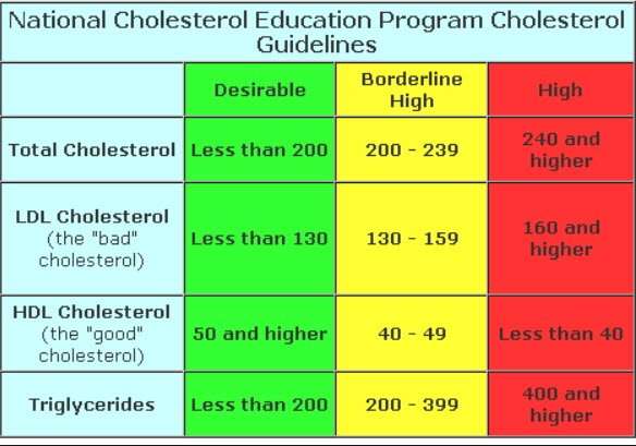 Cholesterol Test: What you need to know?