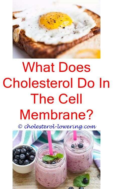 #cholesteroldefinition can i lower my cholesterol?