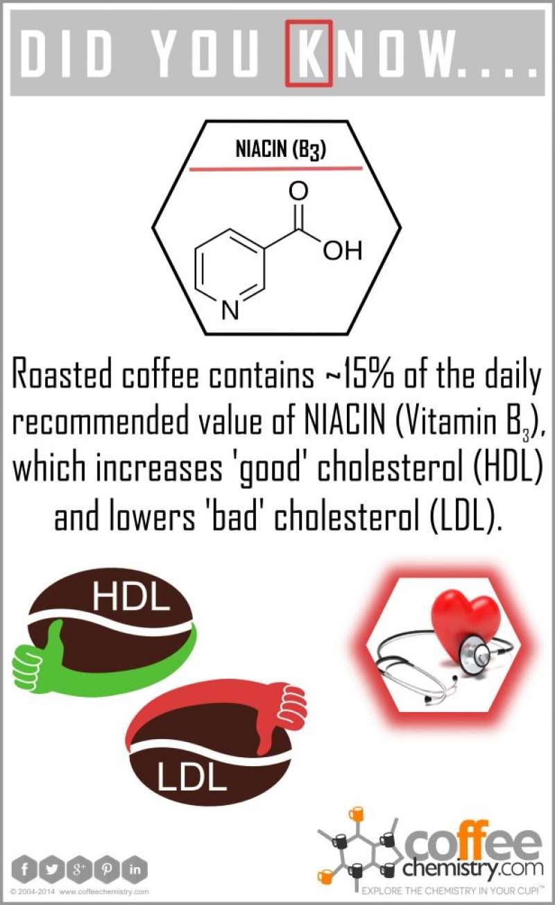Coffee and Cholesterol