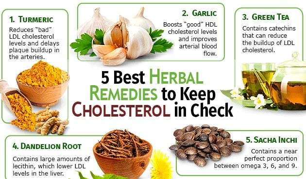 Control Cholesterol Naturally with these herbal remedies ...