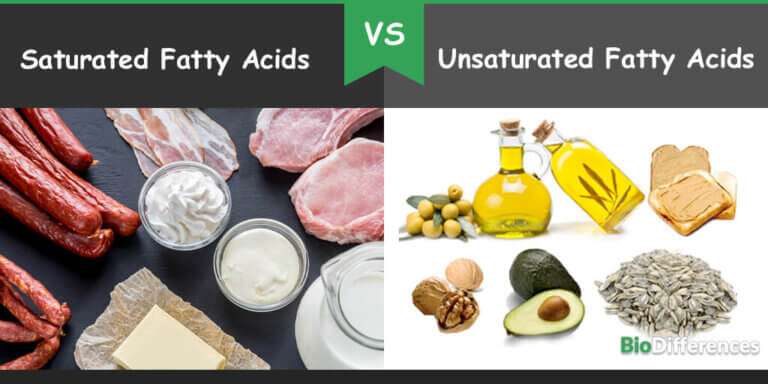Difference Between Saturated and Unsaturated Fatty Acids ...