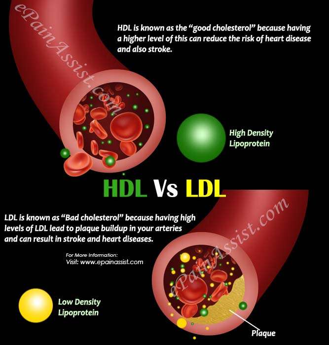 Difference in HDL and LDL