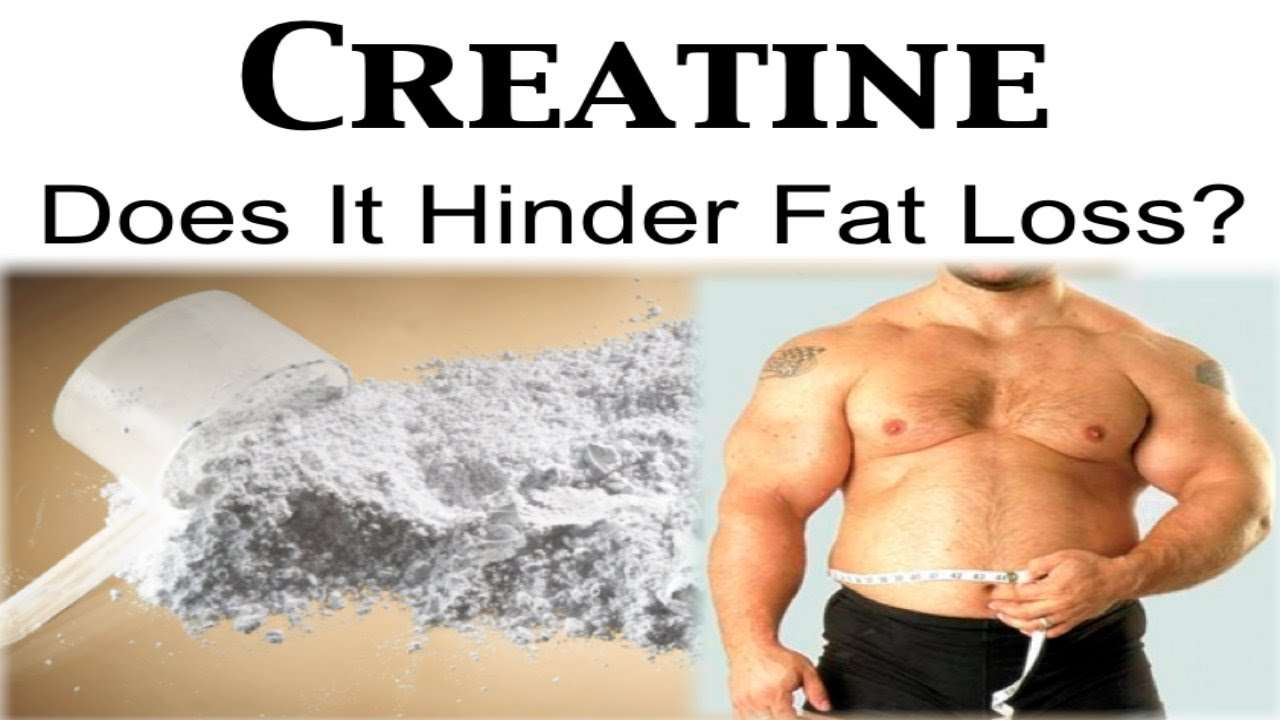 Does Creatine affect Fat Loss? (can you take creatine ...