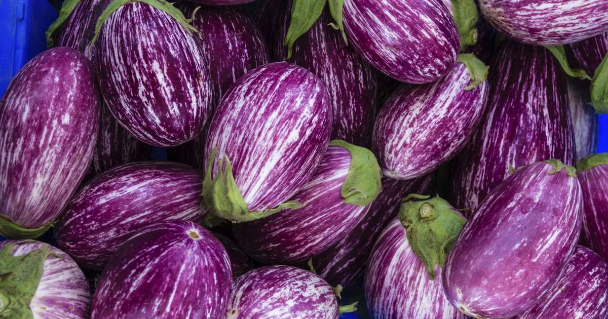Does Eggplant Lower Cholesterol?