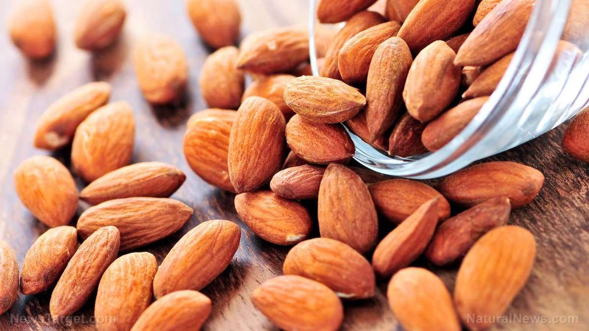 Eating almonds found to accelerate the bodyâs mechanism ...
