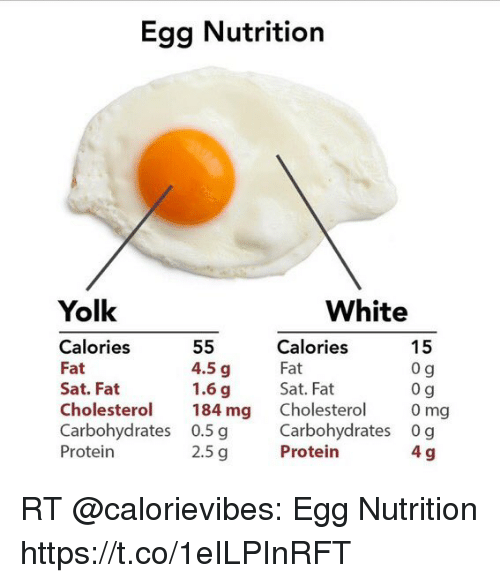 Egg Nutrition Yolk White Calories Fat Sat Fat 15 0 G 0 G ...
