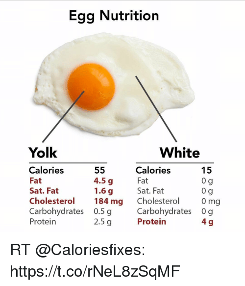 Egg Nutrition Yolk White Calories Fat Sat Fat Cholesterol ...