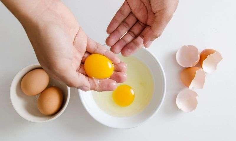 Egg Yolk Nutrition Facts + 7 Health Benefits