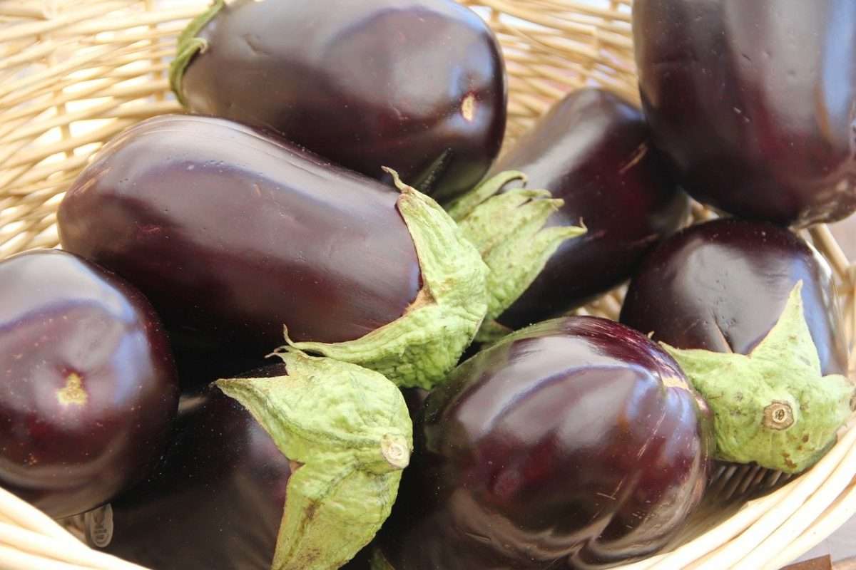 Eggplant Recipes to Keep Cholesterol Under Control