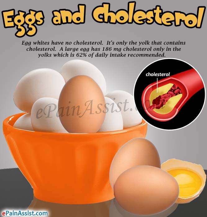 Eggs and Cholesterol: Do Eggs Raise Cholesterol Levels?