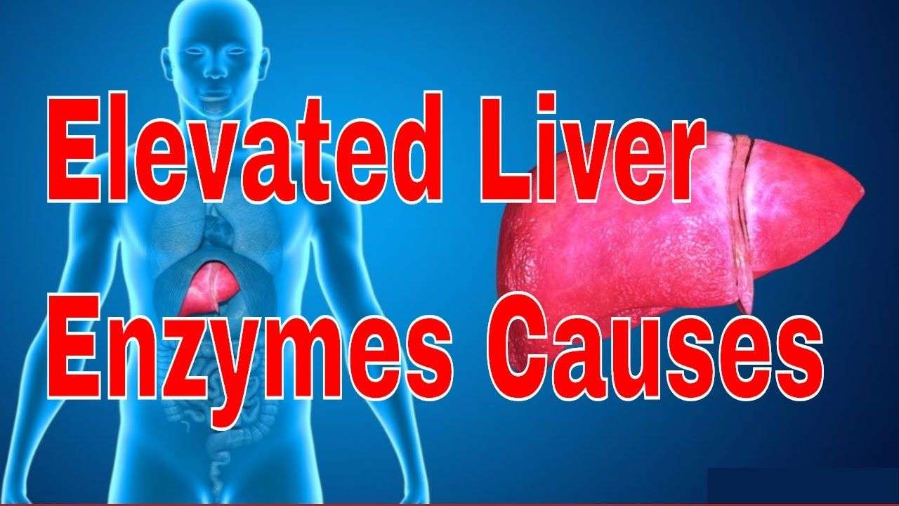 Elevated Liver Enzymes Causes