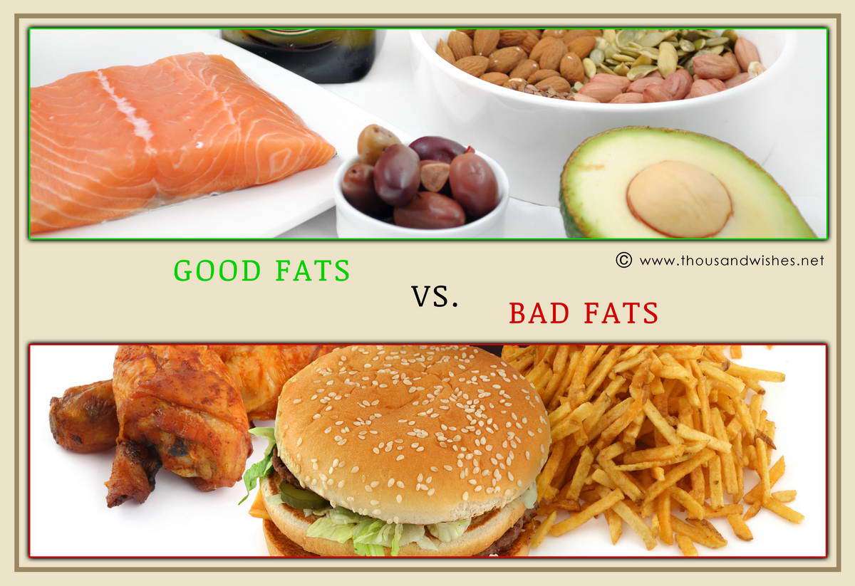 Fats, cholesterol...what is good and what