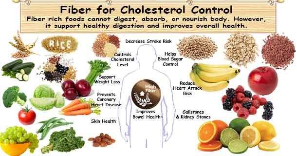 Fiber Lower Cholesterol