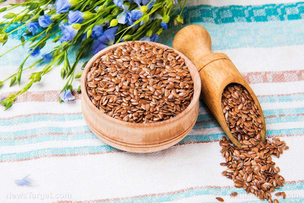 Flaxseed is one of the worlds most important medicinal ...
