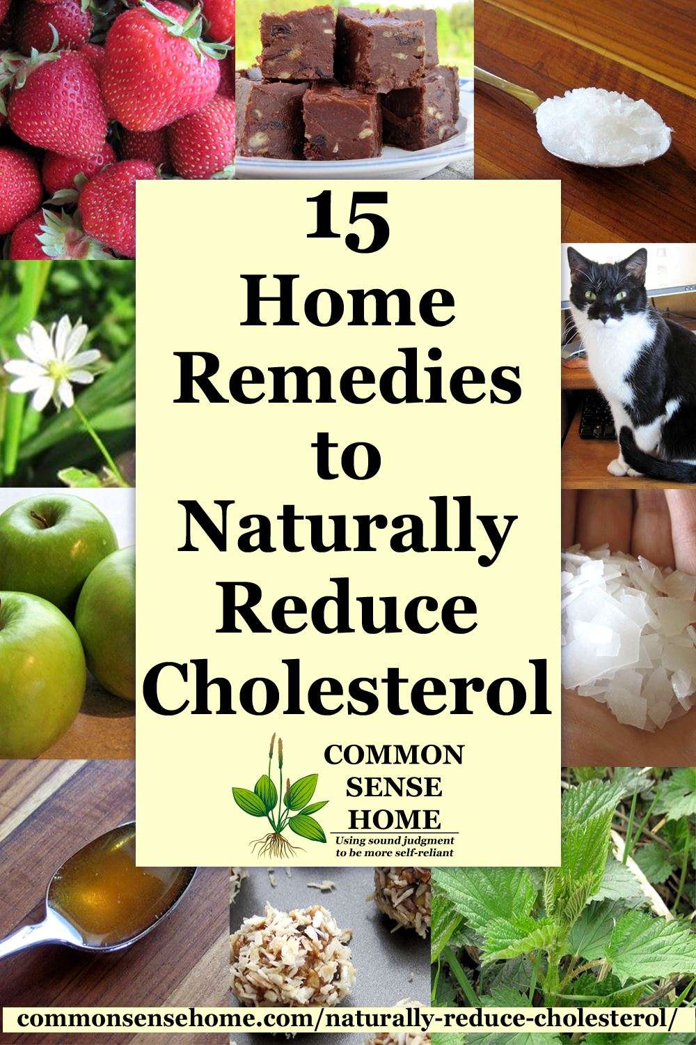 Foods That Help Lower Cholesterol