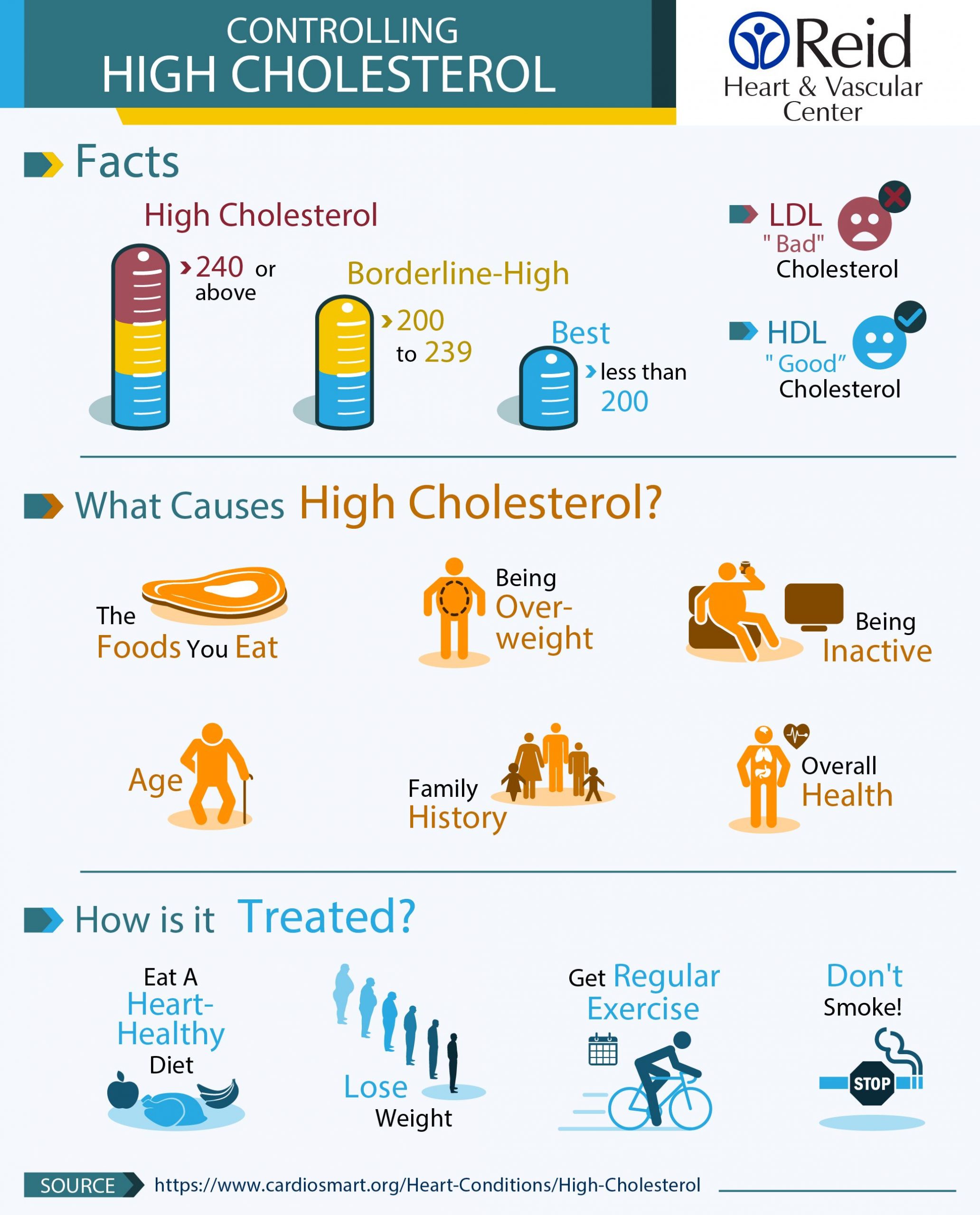 Foods To Avoid With High Cholesterol  Idalias Salon