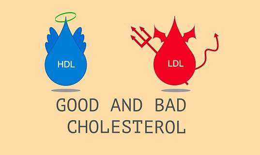 Good And Bad Cholesterol Stock Illustration