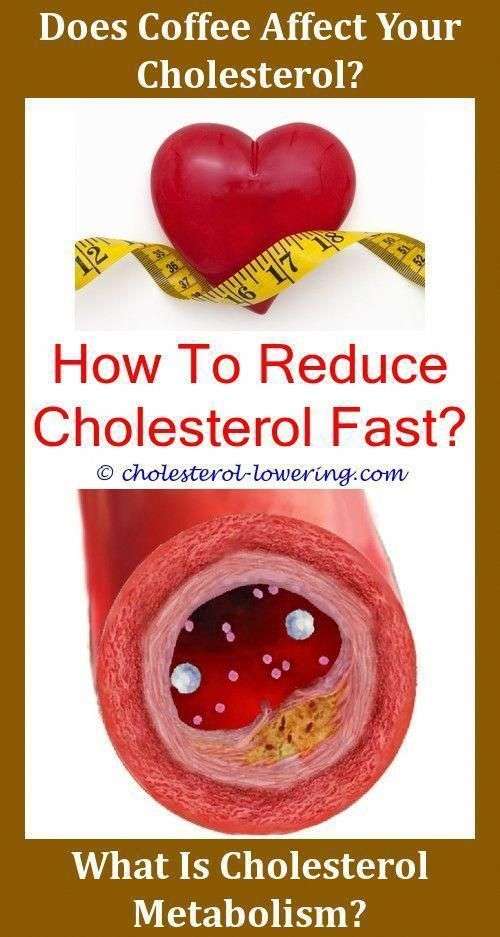 Goodcholesterol Is Venison Low In Cholesterol?,ldlcholesterolhigh does ...