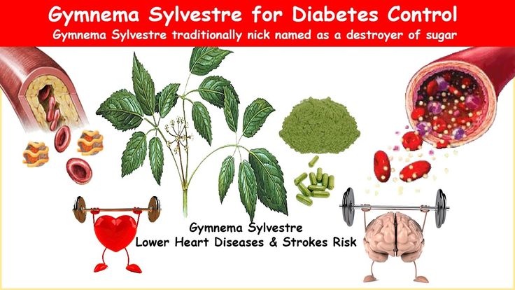 Gymnema Sylvestre  Herb Lower BS, A1C, Triglycerides, LDL &  BP (With ...