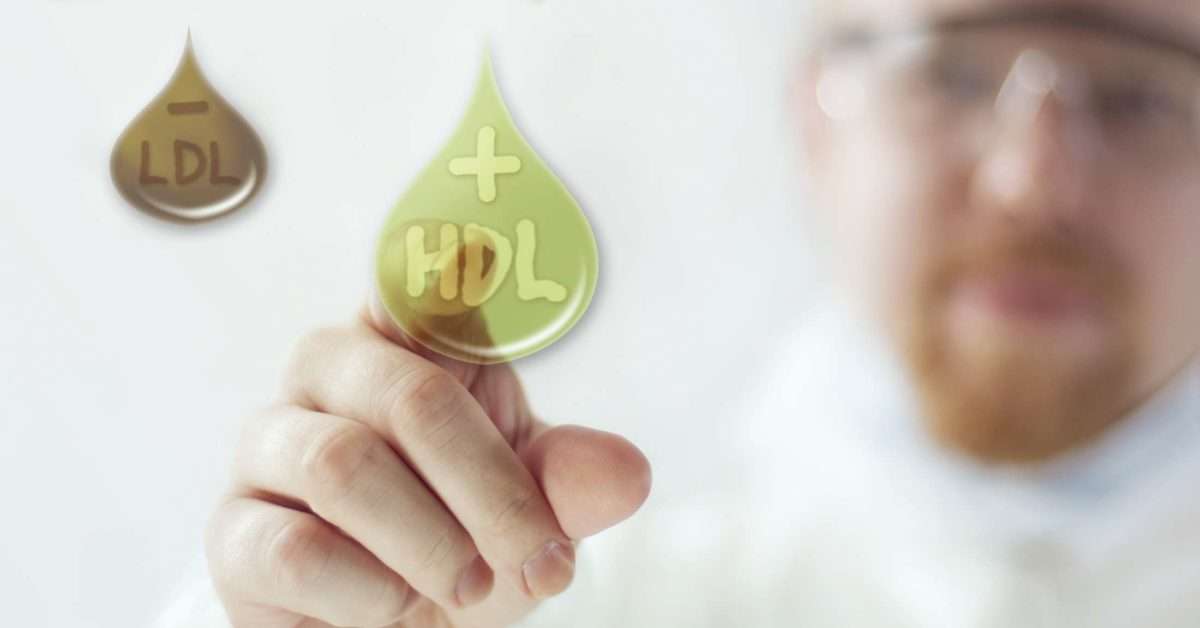 HDL vs. LDL cholesterol: Differences, ranges, and ratios
