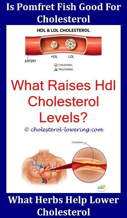 Hdlcholesterol How To Raise Good Cholesterol With Diet ...