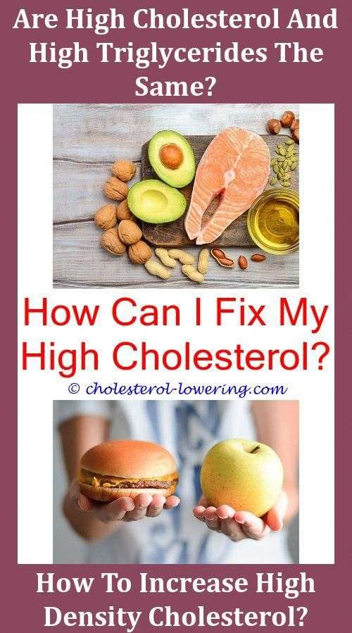 Hdlcholesterollevels How Does Cholesterol Increase ...