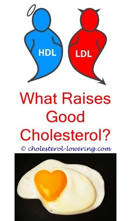 #hdlcholesterolrange what contributes to high cholesterol?
