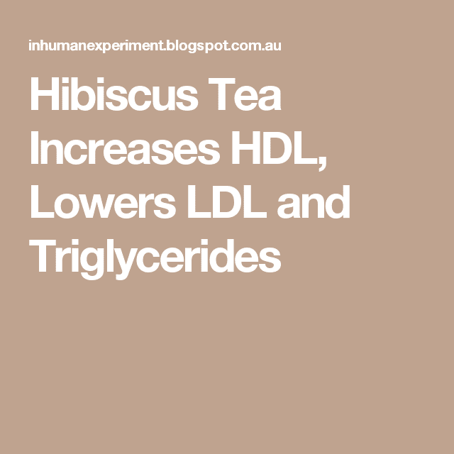 Hibiscus Tea Increases HDL, Lowers LDL and Triglycerides